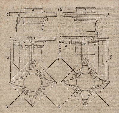 曲がりくねった柱の柱頭 作： Albrecht Dürer